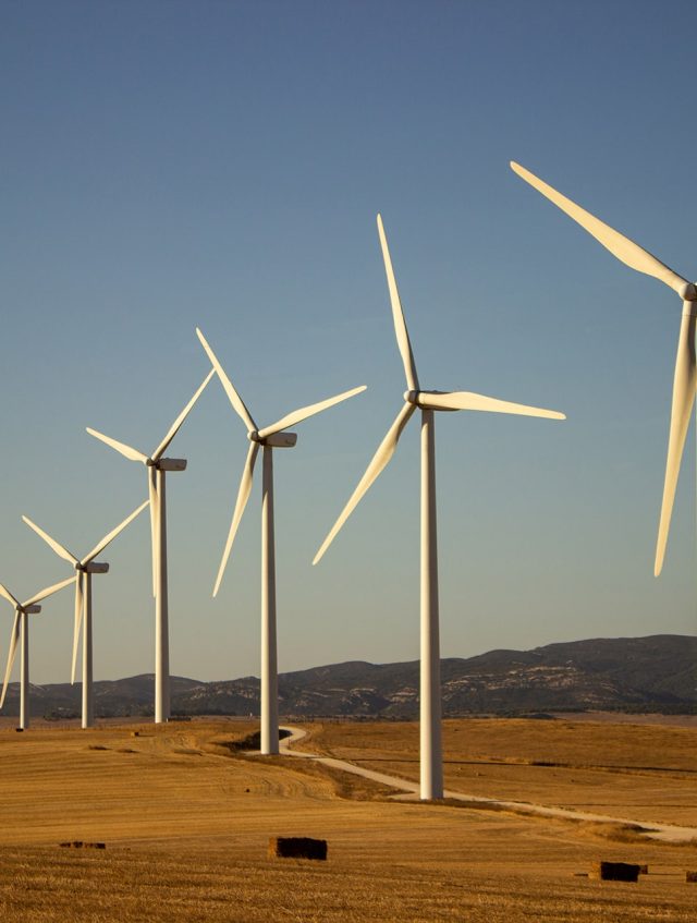 landscape-with-windmills landscape-with-windmills